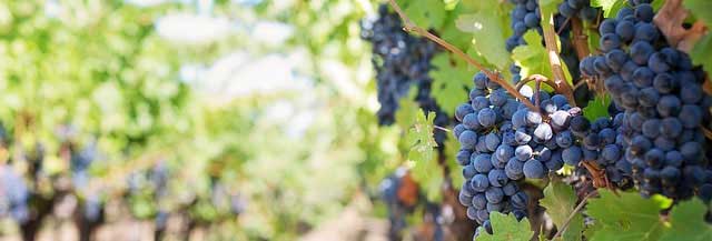 24小时自动发货的电话压测工具